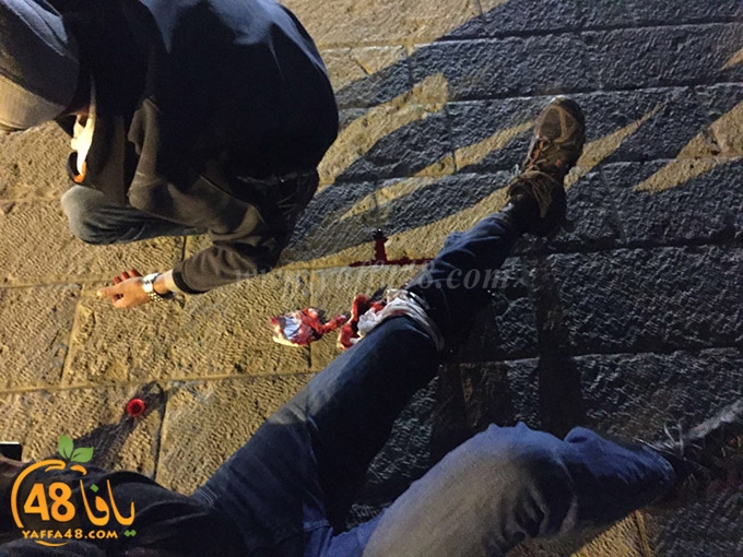 tan3na yaffa (3).jpg